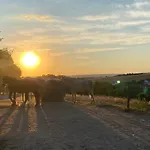 Vanilla Hof Hotel 3*