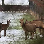 Hotel Vanilla Hof 3*