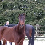 Hotel Vanilla Hof Naumburg (Saale)