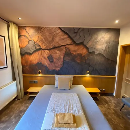 Hotel Vanilla Hof 3*