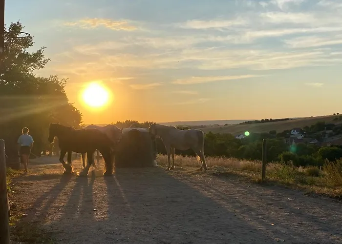 Vanilla Hof Hotel 3*