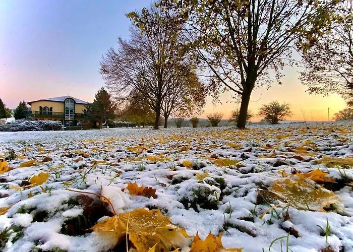 Vanilla Hof 酒店 3*