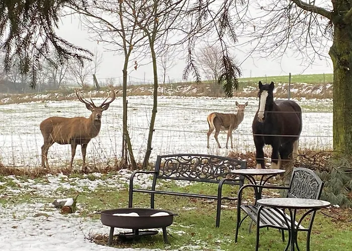 Vanilla Hof Szálloda