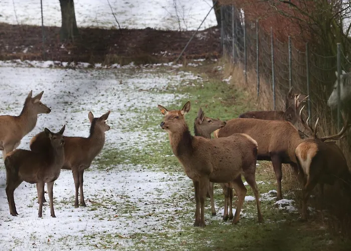 Hotel Vanilla Hof 3*