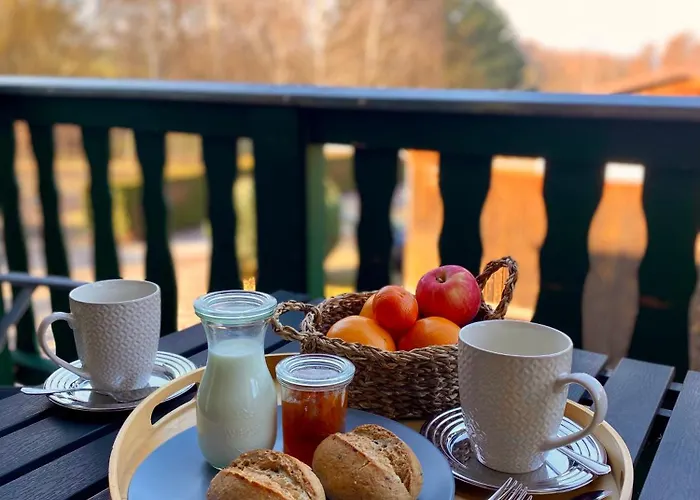 Vanilla Hof 酒店 萨勒河畔瑙姆堡