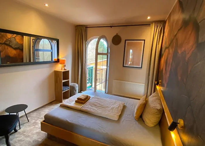 Vanilla Hof 酒店 萨勒河畔瑙姆堡