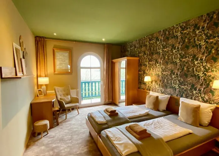 Vanilla Hof 3* 萨勒河畔瑙姆堡