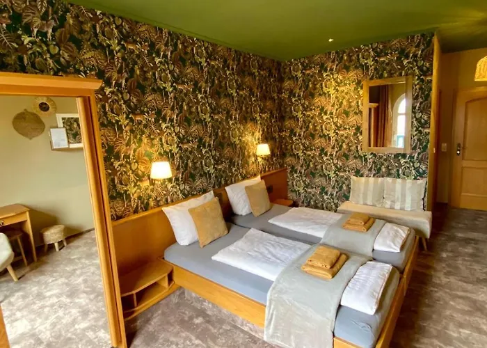 Vanilla Hof 酒店 萨勒河畔瑙姆堡